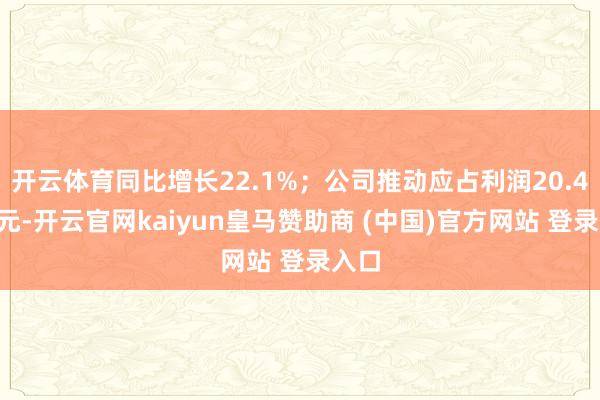 开云体育同比增长22.1%；公司推动应占利润20.45亿元-开云官网kaiyun皇马赞助商 (中国)官方网站 登录入口